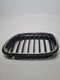 Original BMW X5 (E53) Kühlergrill Vorne Rechts 8247673
