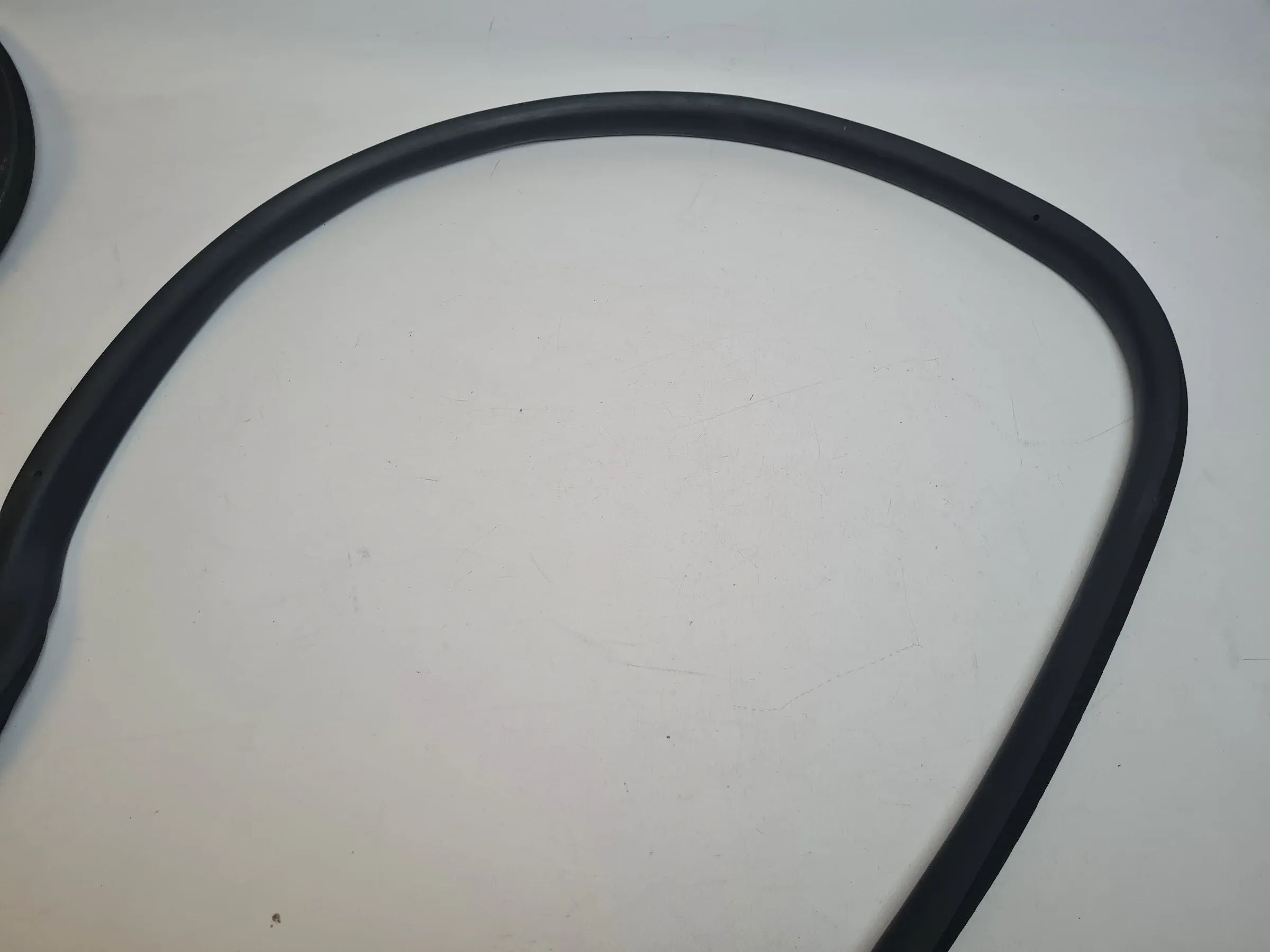 Original Mini One (R50/R53) Türdichtung Tür Dichtung Vorne Links