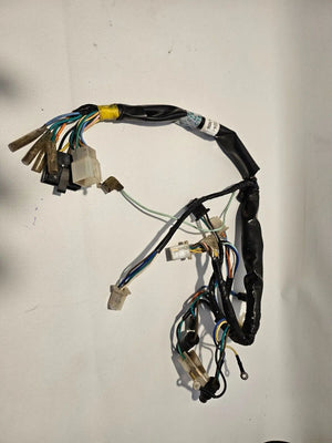 Descriptive image text