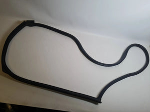 Original Mini One (R50/R53) Türdichtung Tür Dichtung Vorne Rechts