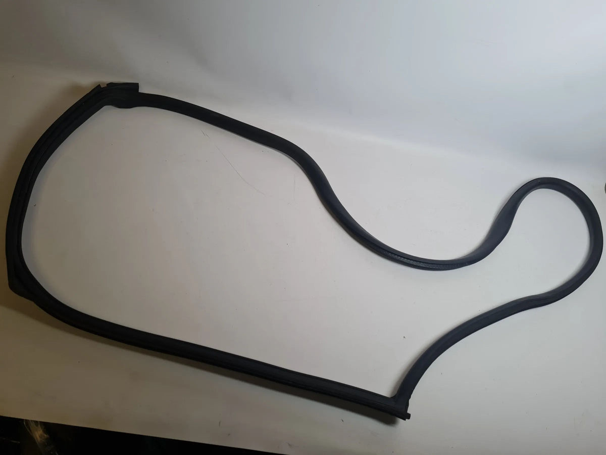Original Mini One (R50/R53) Türdichtung Tür Dichtung Vorne Rechts