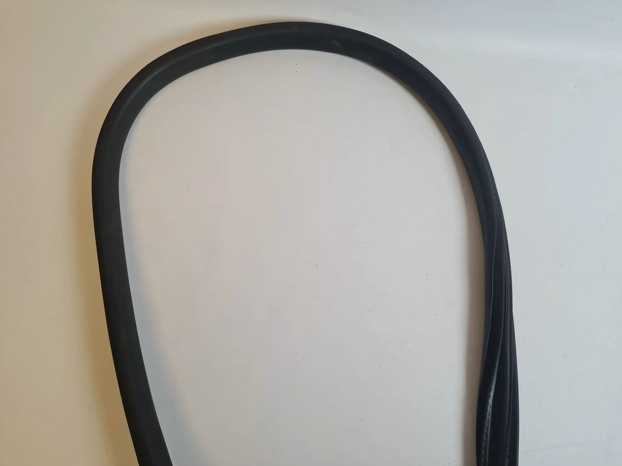 Original Mini One (R50/R53) Türdichtung Tür Dichtung Vorne Links