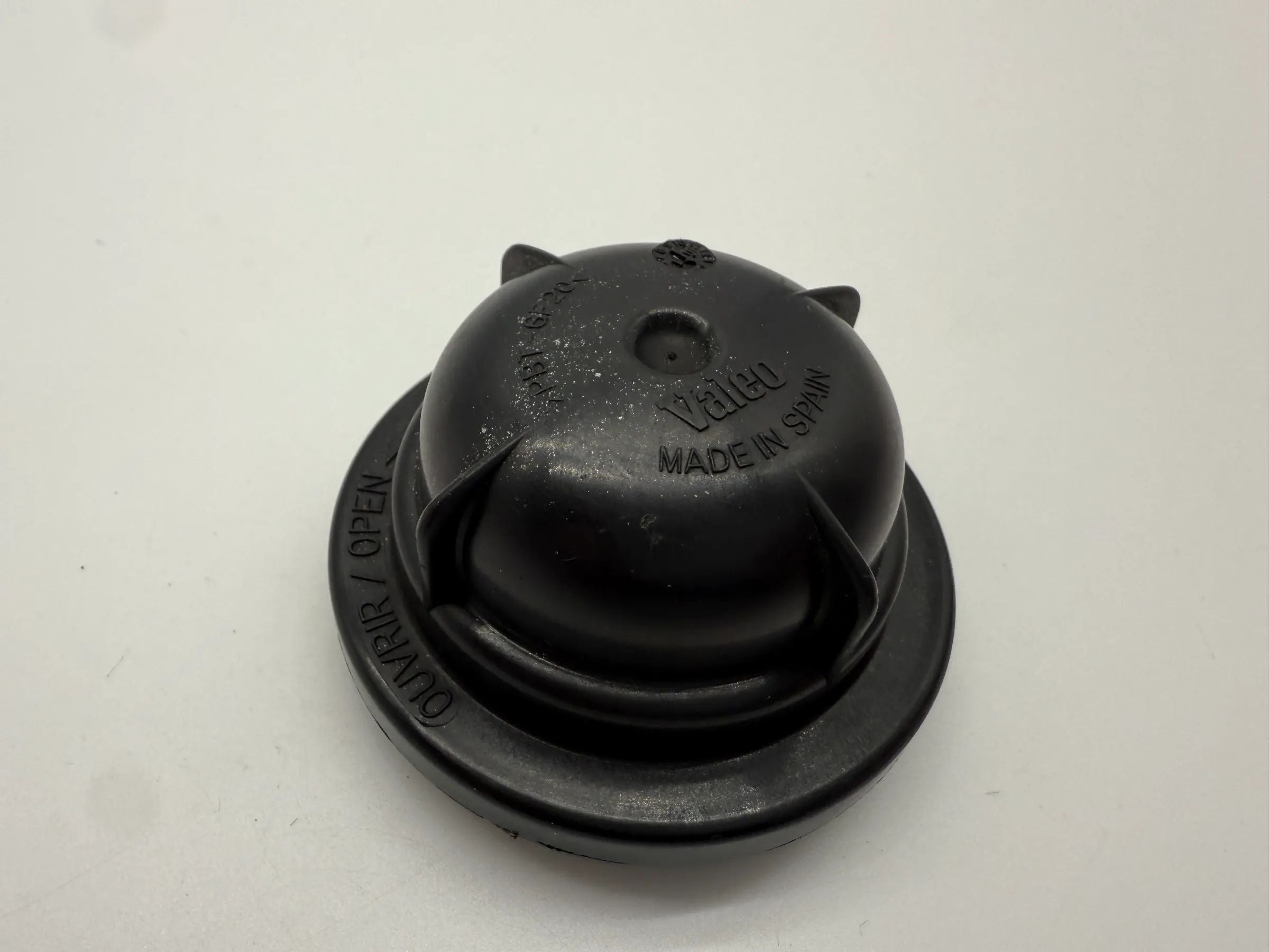 Original Renault Scenic I (FA0/JA0/1) Cap Cover Fog Light (E9024005)