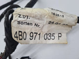 Original Audi A6 (4B2/4B4) Türkabelbaum Tür Hinten, 4B0971035P