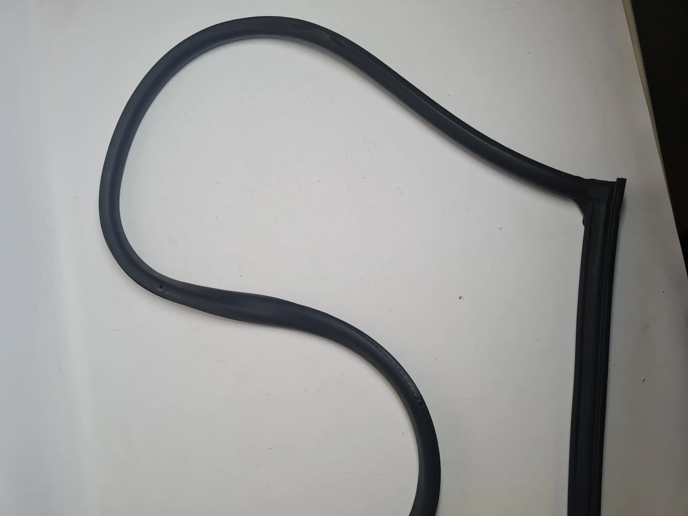 Original Mini One (R50/R53) Türdichtung Tür Dichtung Vorne Rechts