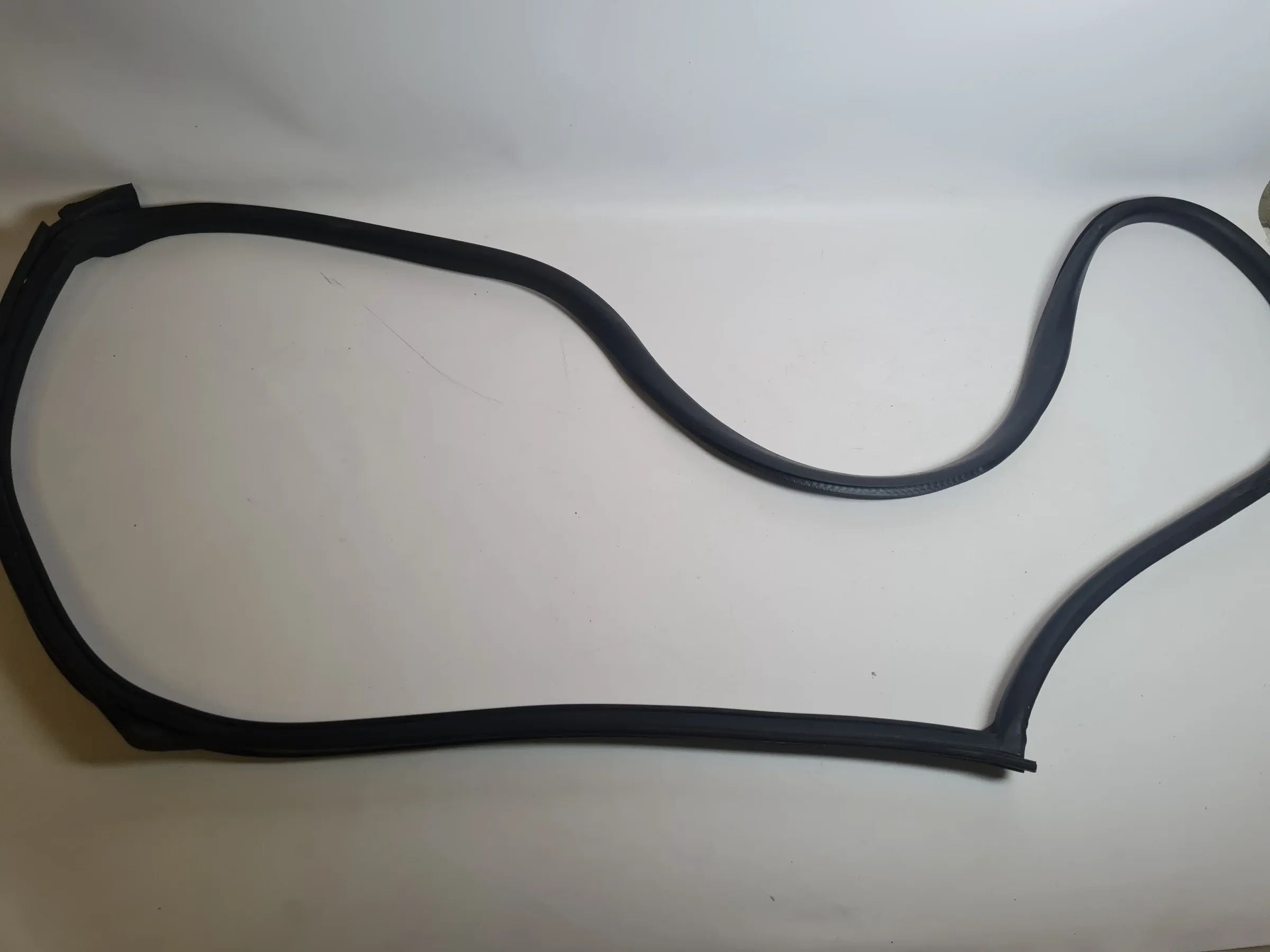 Original Mini One (R50/R53) Türdichtung Tür Dichtung Vorne Rechts